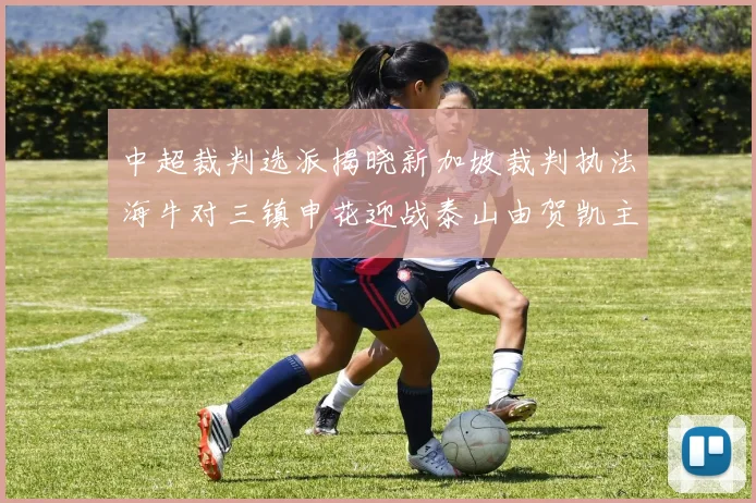 中超裁判选派揭晓新加坡裁判执法海牛对三镇申花迎战泰山由贺凯主哨